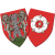 logo of Northampton ON Chenecks FC
