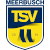 logo of TSV Meerbusch U19