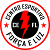 logo of CE Força e Luz U20