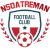 logo of Nsoatreman FC