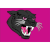 logo of Pink House