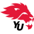 logo of York Lions