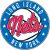 logo of Long Island Nets