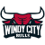 logo of Windy City Bulls