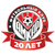 logo of VfL Wolfsburg U19