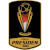 Piala Presiden