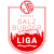 Salzburger Liga