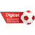 logo of Digicel Premier Division
