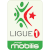 Flag of Algeria Flag of Algeria