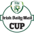 Flag of Republic of Ireland Flag of Republic of Ireland