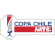 Flag of Chile Flag of Chile