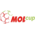 Flag of Czechia Flag of Czechia