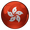 flag of Hong Kong SAR