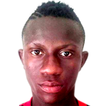 Nicholas Muchadeyi