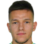 Mihajlo Nešković