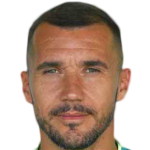 Brana Ilić