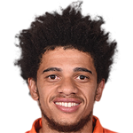 Taison