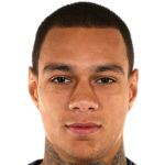 Gregory van der Wiel