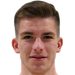 Libor Holík