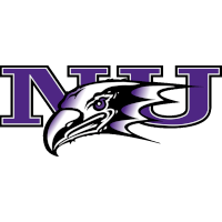 logo of Niagara Purple Eagles