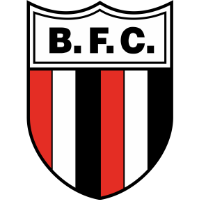 logo of Botafogo FC