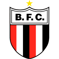 logo of Botafogo FC