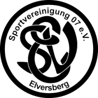 logo of SV 07 Elversberg