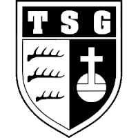 logo of TSG Backnang