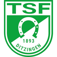 logo of TSF Ditzingen
