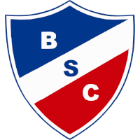 logo of Bochas SC