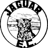 logo of Jaguar EC