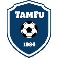 logo of Tammer Futis