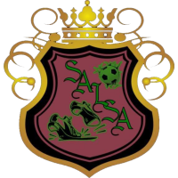 logo of Salsa