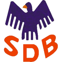 logo of SD Borborema