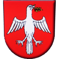 logo of  TJ Družstevník Čičarovce