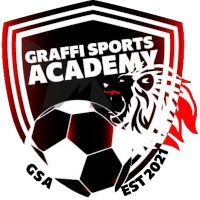 logo of Graffi SA
