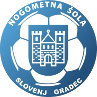 logo of NŠ Slovenj Gradec
