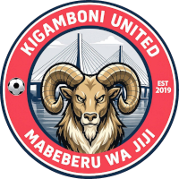 logo of B19 FC