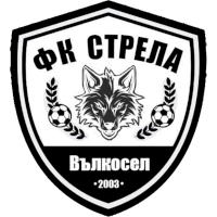 logo of FK Strela Valkosel
