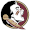 logo of Florida State Seminoles