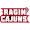 logo of Louisiana-Lafayette Ragin' Cajuns