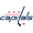 Club logo of Washington Capitals