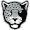 Club logo of Texas A&M-San Antonio Jaguars