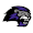 Club logo of Paine Lions
