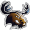 Club logo of UMA Moose