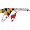 Club logo of Washington College Shoremen