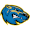 Club logo of Brescia Bearcats