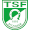 logo of TSF Ditzingen