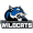 Club logo of Culver-Stockton Wildcats