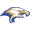 Club logo of KCC Falcons